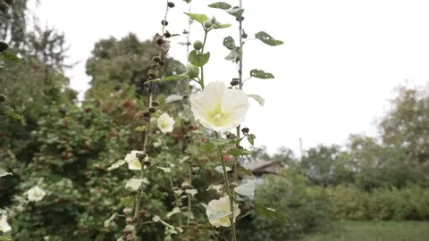 На Рівненщині 6 вересня прогнозують дощ, грозу та слабкий град