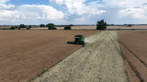USDA: врожай зернових в Україні зросте, але експорт впаде через блокаду портів