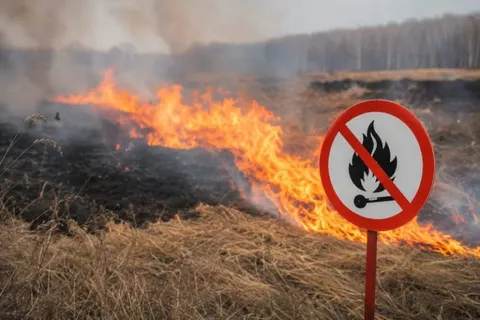 На Черкащині оголосили надзвичайну пожежну небезпеку на 12–14 серпня