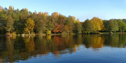 Осінь 2026 в Європі: аномальне тепло та дощі через Ель-Ніньйо
