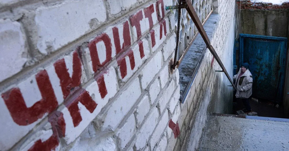 Тварини в укритті: що дозволено та які правила діють