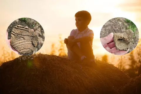 Трипільська земля в Іллінцях: чому суд тягне із рішенням і що буде восени