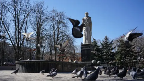 Спека до +32°C на Миколаївщині: прогноз погоди на тиждень