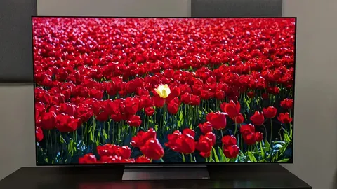 LG C6 OLED: що означає звання найкращого телевізора 2026 року для покупців