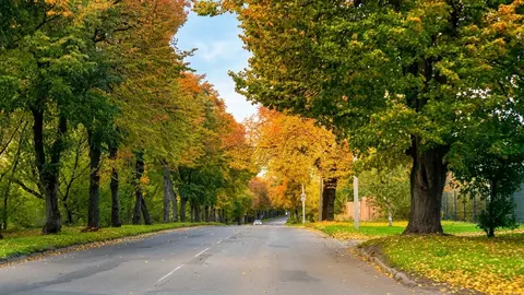 Волинь: теплий тиждень із дощами у другій половині