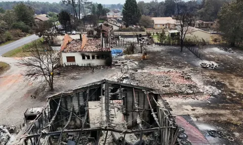Лісові пожежі біля Бордо можуть тривати до осені — пожежники