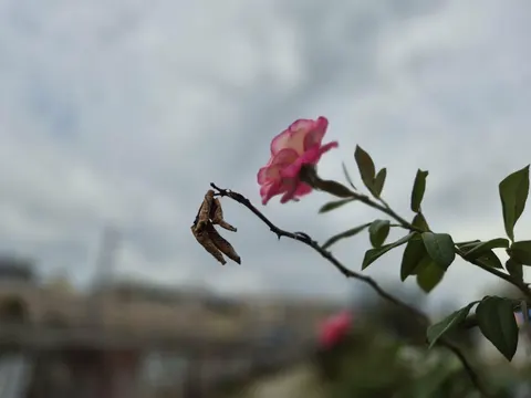 Харків 16 вересня: хмарно, але тепло — і що це каже про осінь
