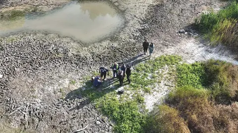Озеро Синє у Києві: чому попередні роботи не спрацювали і що далі