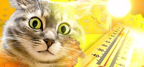 Спека +40°C може стати нормою для України — прогноз метеоролога