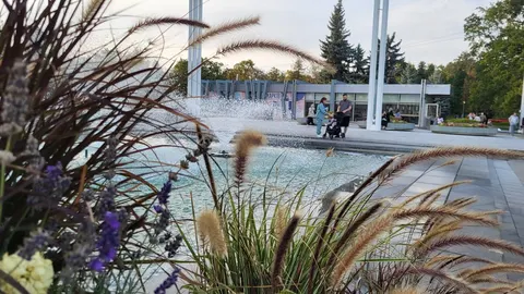 Харківщина 18 вересня: до 25° тепла, але на Лозовій — надзвичайна пожежна небезп