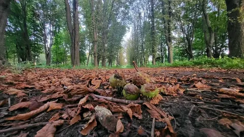 28 серпня на Харківщині: до 25° тепла та без опадів, але висока пожежна небезпек