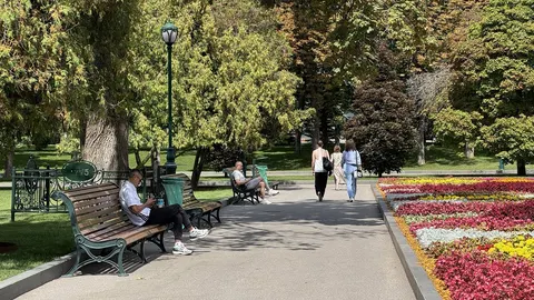Спека до +32° і без опадів: прогноз погоди на Харківщині на 20 серпня