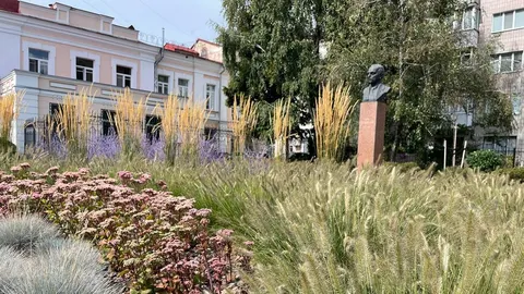 Житомирщина: після дощів і похолодання повернеться суха й тепла погода