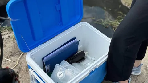 Мор риби під Києвом: лабораторія знайшла комплексне забруднення води