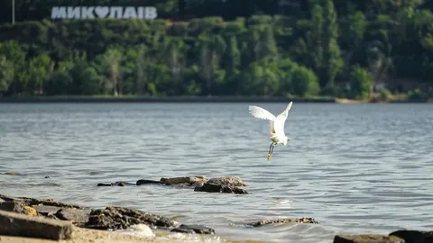 Теплий старт осені: якою буде погода в Миколаєві на початку вересня
