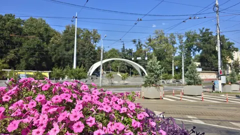 Вінниччина 2 вересня: тепло, без опадів, але з сильними поривами вітру