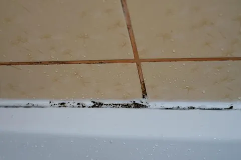 Чорні плями на швах плитки: простий спосіб, який не потребує дорогої хімії