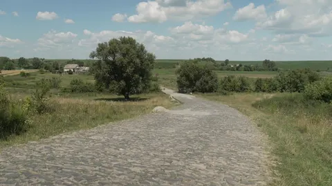 Рівненські синоптики обіцяють дощі та потепління до 31°