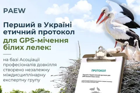 В Україні розробили перший етичний протокол GPS-трекінгу лелек