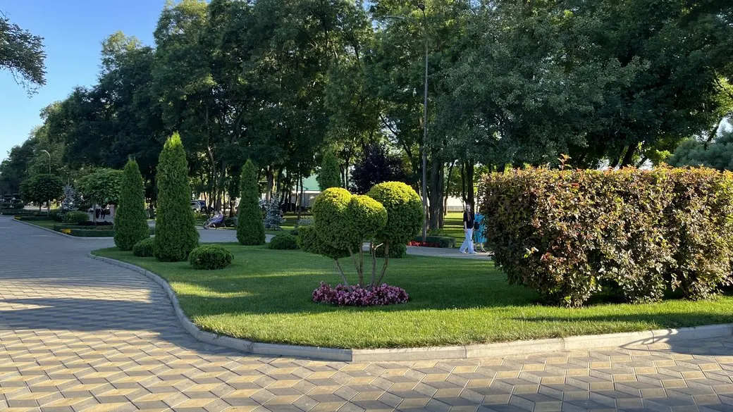 Кіровоградщина: тепло до +28° та дощі в перші дні вересня