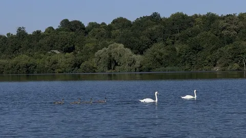Спека до 32°C: якою буде погода на Вінниччині 20 серпня
