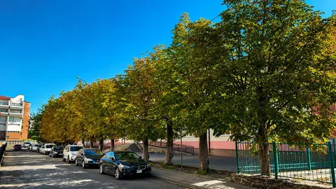 Останні вихідні літа на Волині: тепло та місцями грози