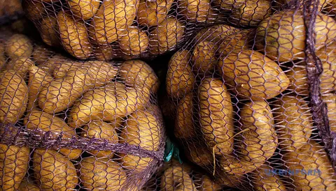 Картопля взимку може подорожчати на 25–40% — прогноз експертки
