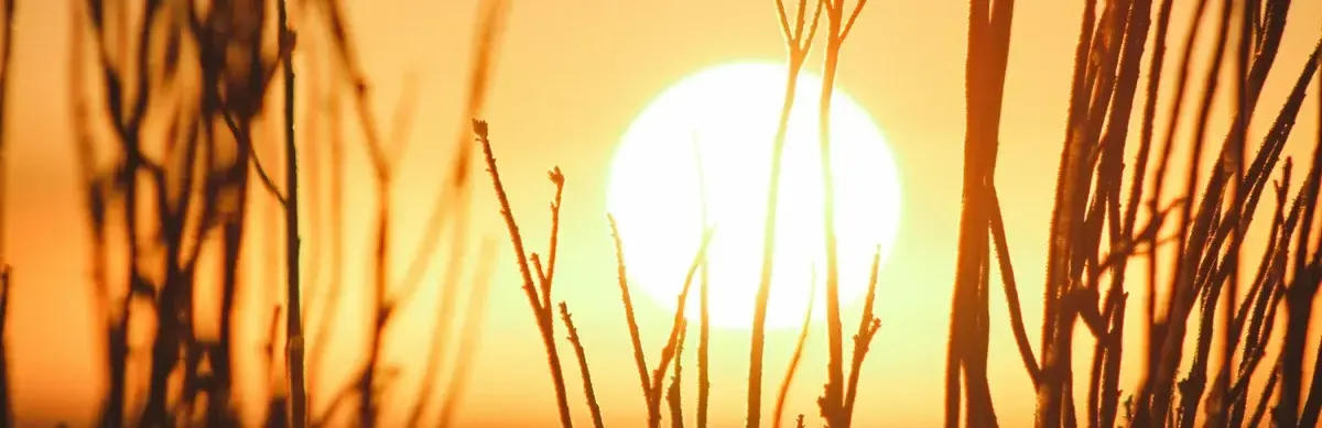 Спека на Миколаївщині: до 34°C та без опадів найближчими днями