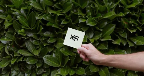 Повільний Wi-Fi: як розташування роутера впливає на швидкість і що з цим робити