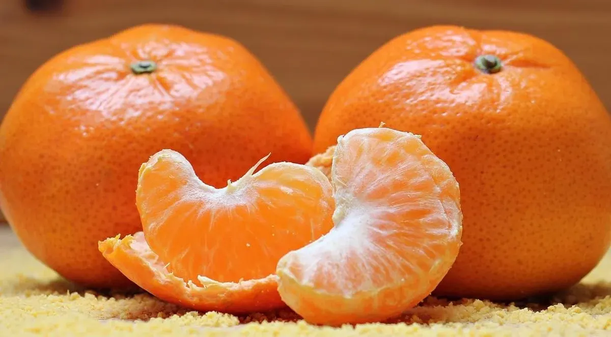Пліснява на фруктах: коли зрізати, а коли викидати весь продукт