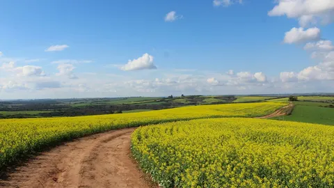 Погода в Україні: де будуть дощі та коли спаде спека