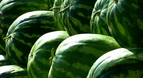Ціни на овочі в Україні: огірки та кавуни дорожчають, морква дешевшає
