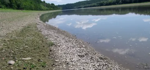 Річки Тернопільщини можуть рекордно обміліти: прогноз на вересень