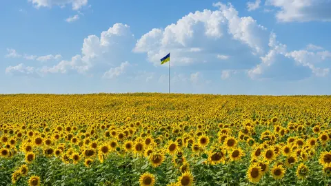 Спека без дощів: якою буде погода на День Незалежності