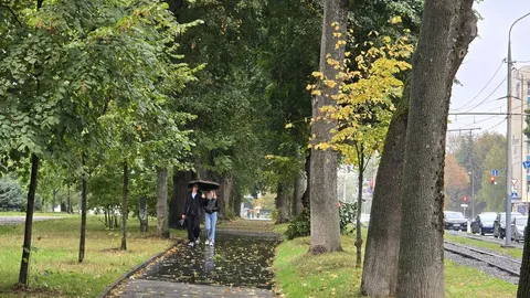 Вінниччину 22 вересня накриє дощами: що це означає для регіону