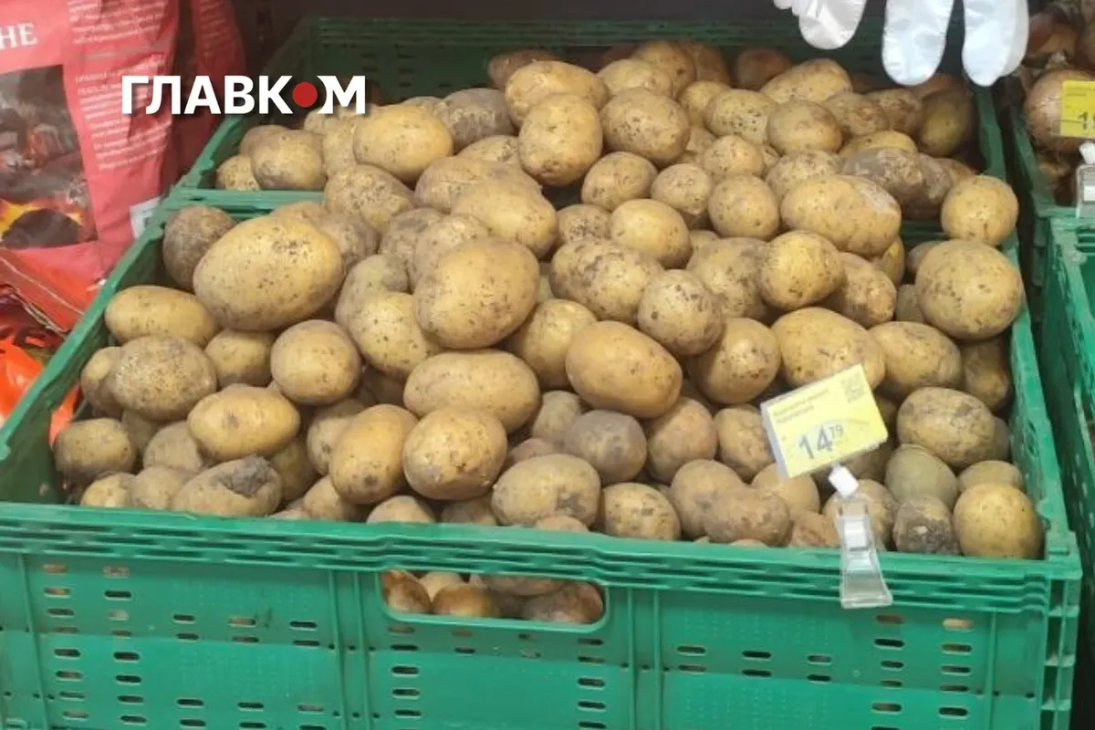Картопля подешевшала на 8%, але взимку може подорожчати на 25–40%