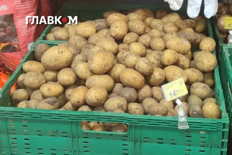 Картопля подешевшала на 8%, але взимку може подорожчати на 25–40%
