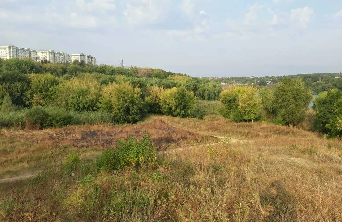 Полтавська погода на тиждень: спека до +30°C зміниться дощами