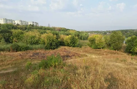 Полтавська погода на тиждень: спека до +30°C зміниться дощами