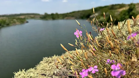 Погода на Кіровоградщині: дощ у середу, далі — спека до 31°